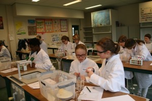 Cambreur Class Geweldige chemie