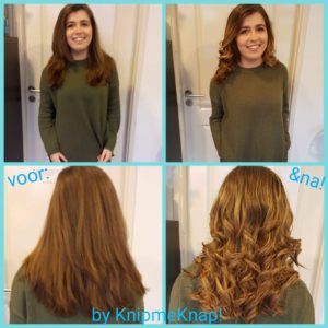 Gewonnen make-over van de Winterfair geslaagd